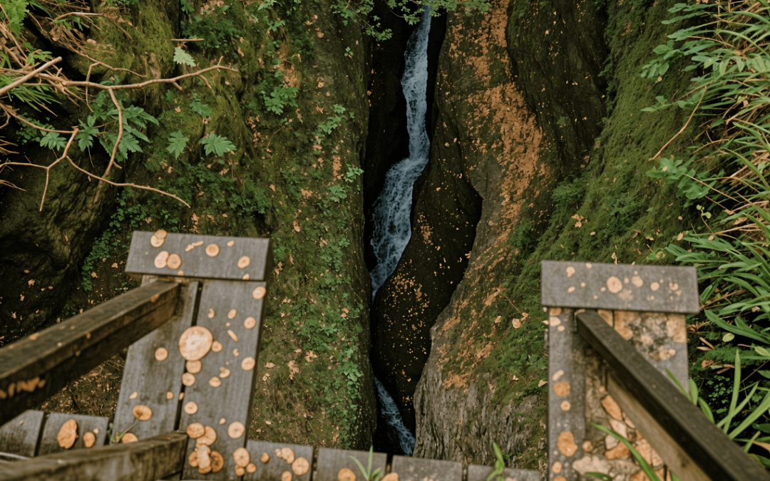 5 Beautiful spots to visit within a 5 mile radius of The Beechwood Lodge